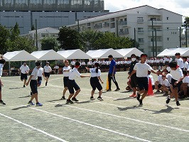 IMG_3539