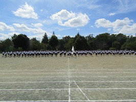 IMG_3553