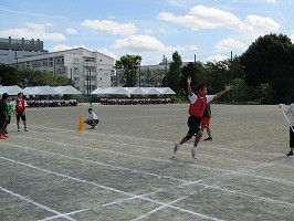 IMG_3606