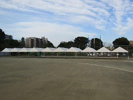 IMG_3670