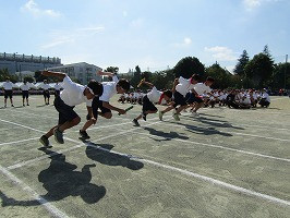 IMG_3717