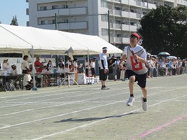 IMG_3742