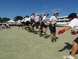 IMG_3775