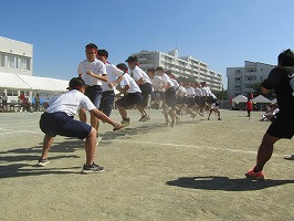 IMG_3781