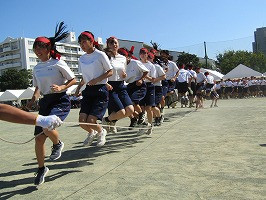 IMG_3786