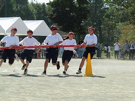 IMG_3799