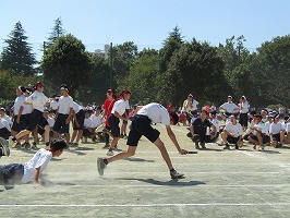 IMG_3884