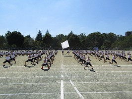 IMG_3931