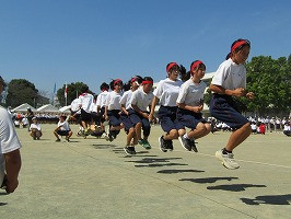 IMG_3989