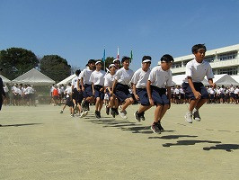 IMG_3996