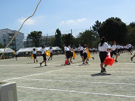 IMG_4028