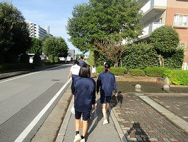 IMG_4620