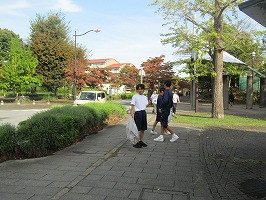 IMG_4641