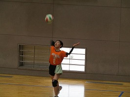 IMG_5206