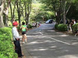 IMG_5337