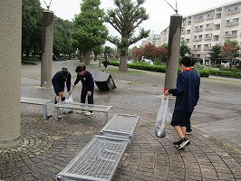 IMG_6186