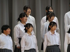 IMG_6981