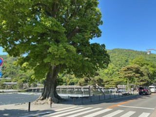 IMG_0143（小）