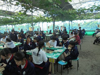 DSC03480