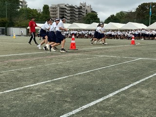 IMG_2453（小）